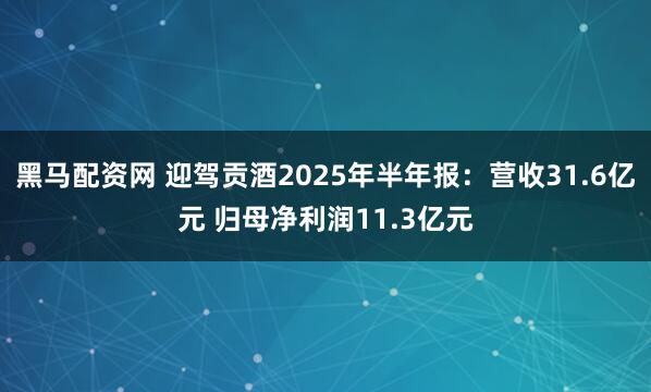 黑马配资网 迎驾贡酒2025年半年报：营收31.6亿元 归母净利润11.3亿元