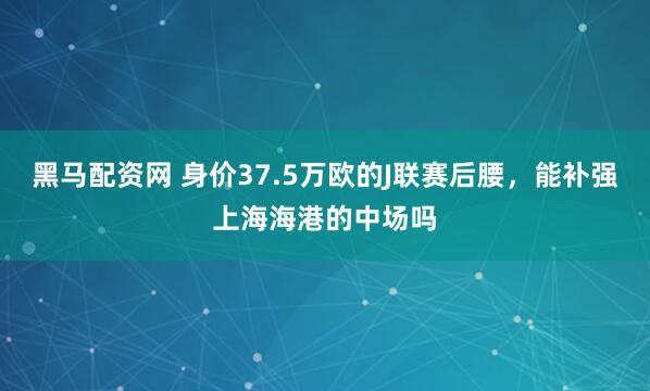黑马配资网 身价37.5万欧的J联赛后腰，能补强上海海港的中场吗